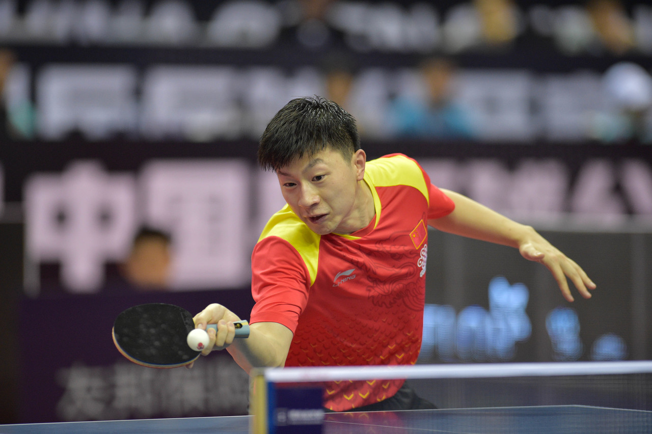 它们不仅可 它们不仅可