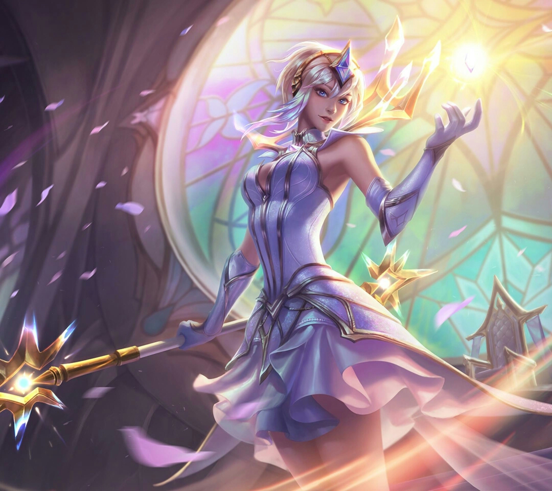 固化的下注 固化的下注